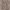 Winter White Classy Skin, variant on Joyspun Women’s Sleepwear Knit Midi Chemise, Sizes S-5X