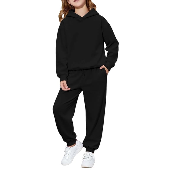 Tiijoy Toddler Girls Outfits Kids Casual Pullover Hoodie Sweatpants Set, Sizes 2-3