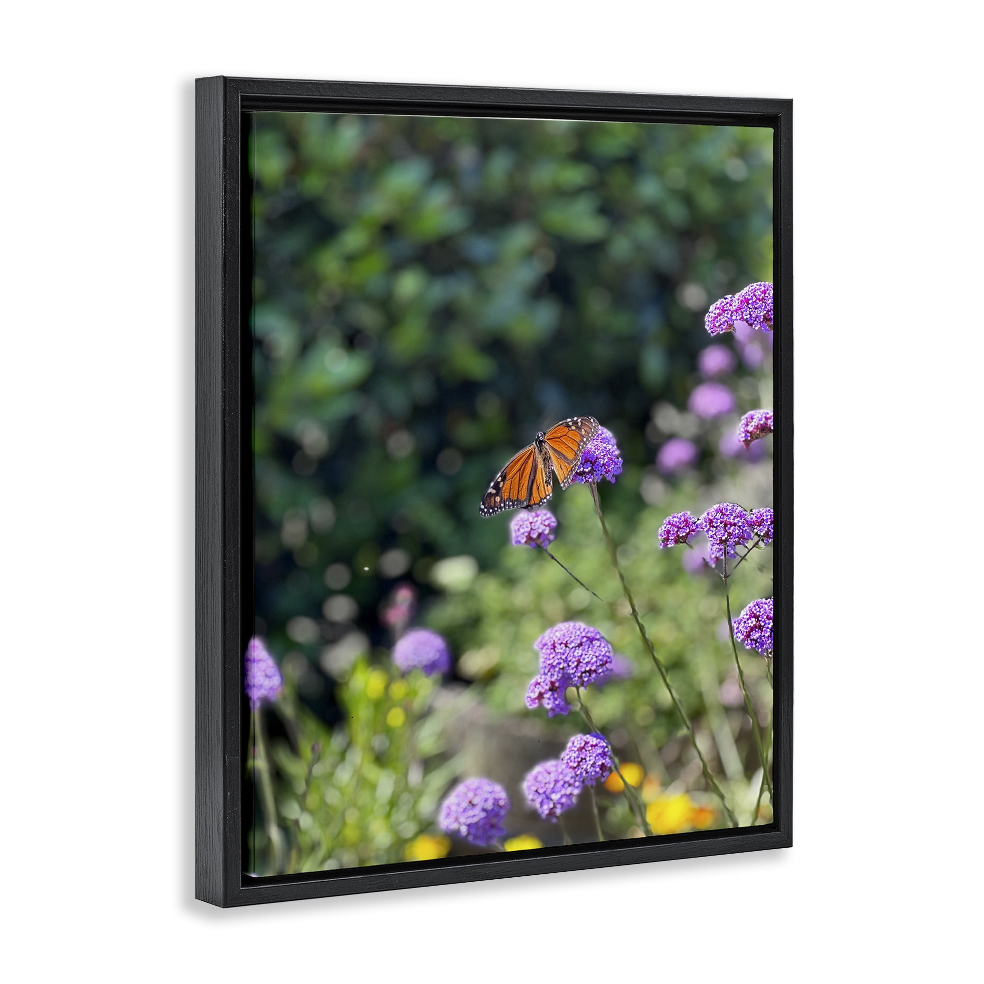 Stupell Industries Butterfly in Meadow Animals & Insects Photography Black Floater Framed Art Print Wall Art, 25 x 31