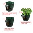 thumbnail image 4 of 4x Bolsa de de de Jardín de PE Impermeable Bolsas de de Plantas de Verduras, 4 of 9