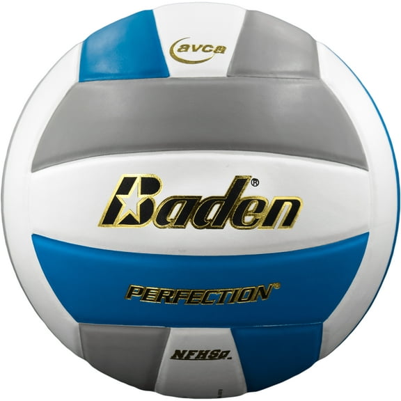 Baden Perfection Leather Volleyball
