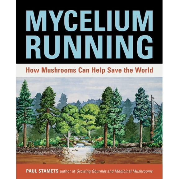 Pre-Owned Mycelium Running: How Mushrooms Can Help Save the World