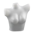 thumbnail image 1 of Torso de maniquí femenino, maniquí de lencería, modelo de parte del cuerpo, soporte de exhibición de ropa interior, maniquí de sujetador para, 1 of 8