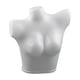 thumbnail image 1 of Maniquí femenino Torso lencería maniquí parte del cuerpo maniquí profesional mujer forma de cuerpo maniquí con sujetador para exposición de t, 1 of 9