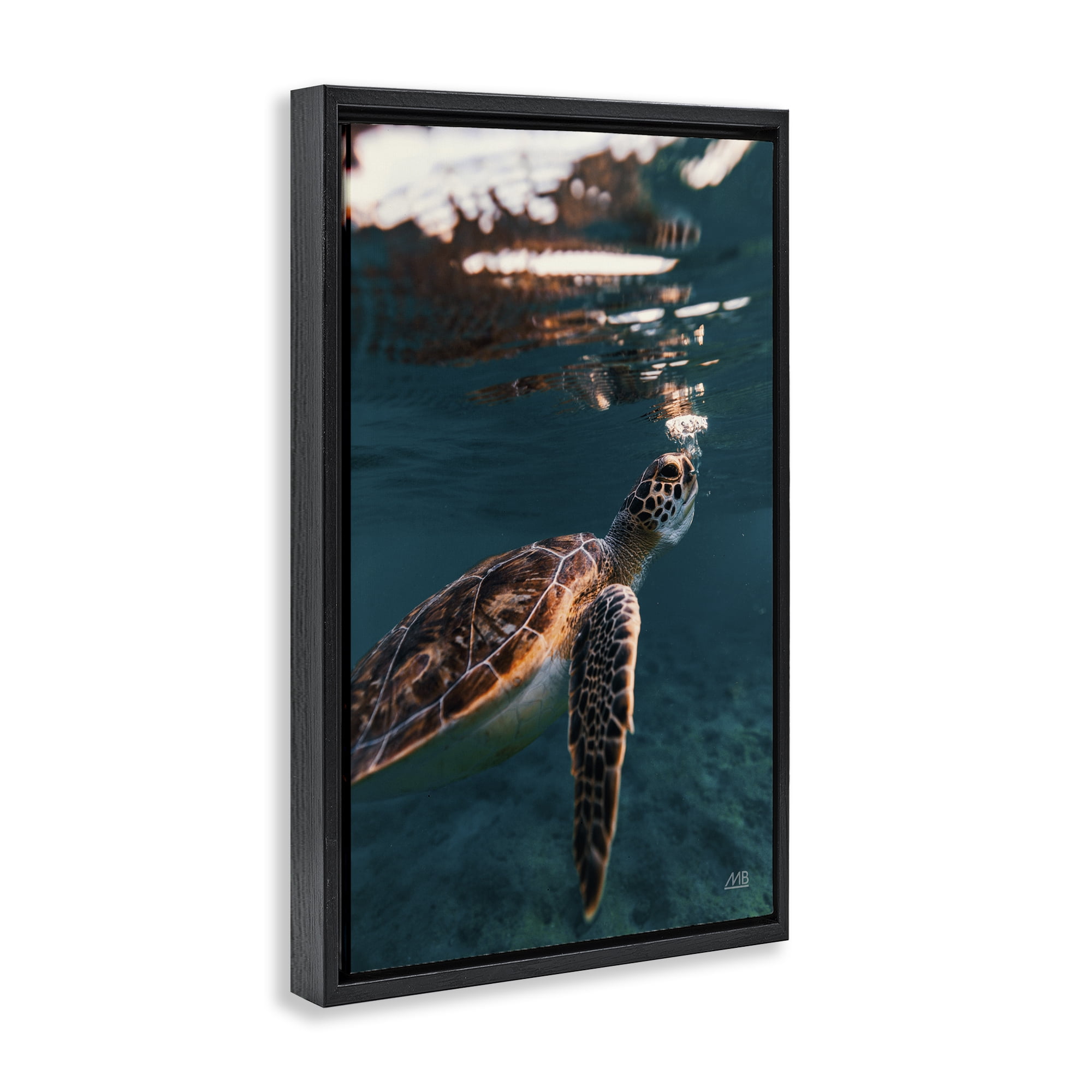 Stupell Industries Blowing Bubbles Turtle Animals Photography Black Floater Framed Canvas Art Print Wall Art, 21 x 31