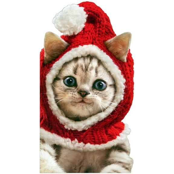 Avanti Press Kitten Wearing Knit Santa Hat Cute Cat Christmas Card
