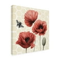 thumbnail image 2 of Trademark Fine Art 'Poppy Buzz I' Canvas Art by Grace Popp, 2 of 3