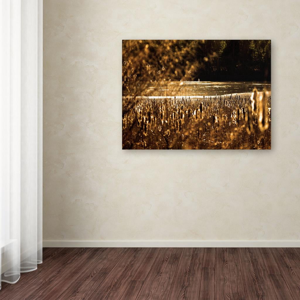 Trademark Fine Art "Boston 6" Canvas Art by CATeyes