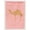 Camel - Pink Check, variant on Arabian Camel Dromedary Green Flag Garden Size