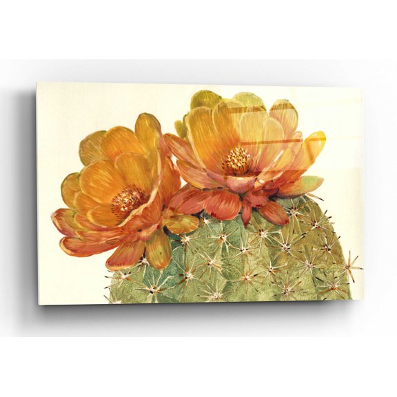 Epic Art 'Cactus Blossoms II' by Tim O'Toole, Acrylic Glass Wall Art, 16"x12"
