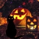 thumbnail image 4 of Decoración de Jardín de Hierro Forjado para Halloween | Juego de 4 Letreros Únicos con Forma de Gato | Material Acrílico Resistente | Resistente a La Intemperie | Tamaño: 24 Cm | Incluye Taco para Ti, 4 of 5