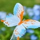 thumbnail image 5 of CaiYueKe Solar Butterfly Garden Lights Outdoor Waterproof Solar Powered Stake Lights with Realistic Butterfly Decorations for Yard Lawn Patio Pathway Landscape Decorative Lighting Solar Stake Lights, 5 of 7