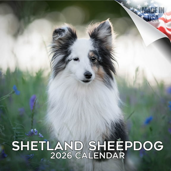 2025 2026 Shetland Sheepdog Calendar - Dog Breed Monthly Wall Calendar - 12 x 24 Open - Thick No-Bleed Paper - Giftable - Academic Teacher's Planner Calendar Organizing & Planning - Made in USA