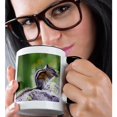 thumbnail image 2 of 3drose, Least Chipmunk Wildlife, San Juan Mountains, Co - Us06 Rnu0051 - Rolf Nussbaumer, 15oz Two-tone Black Mug, 2 of 6