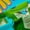Green Blue 731, variant on Manfei Green Cartoon Dragon Curtains and Drapes (42x84),Magic Animal Blackout Curtains for Bedroom,Hawaii Surfing Curtains Pack of 2 (42x84) For Boys Kids,Breathable Room Decor