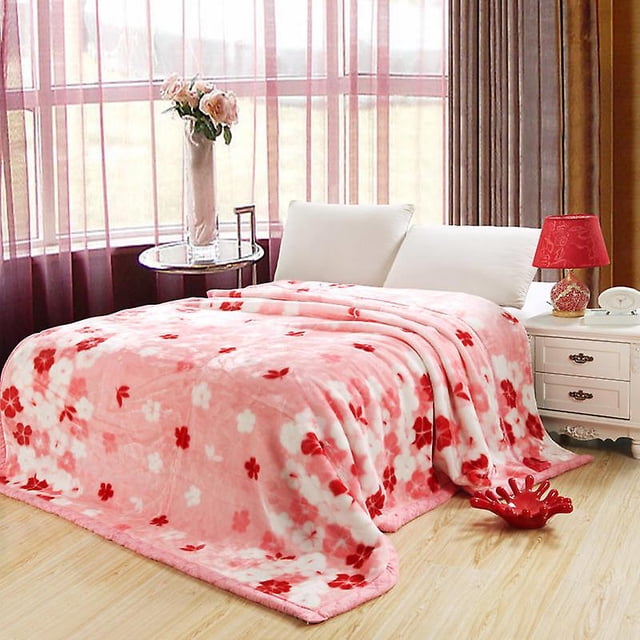 Thickened bayeta double layer laschel blanket cloud blanket double flannel blanket blanket