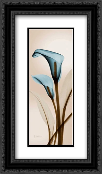 Blue Calla Lily 2x Matted 14x24 Black Ornate Framed Art Print by ...