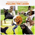 thumbnail image 4 of Dog Head Halter With Safety Strap, Dog Head Collar With Reflective Strap, No-pull Dog Collar Adjustable Dog Harness Training, 4 of 5
