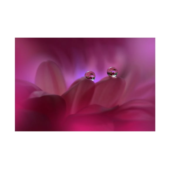 Trademark Fine Art Juliana Nan Immortal Love II Canvas Wall Art