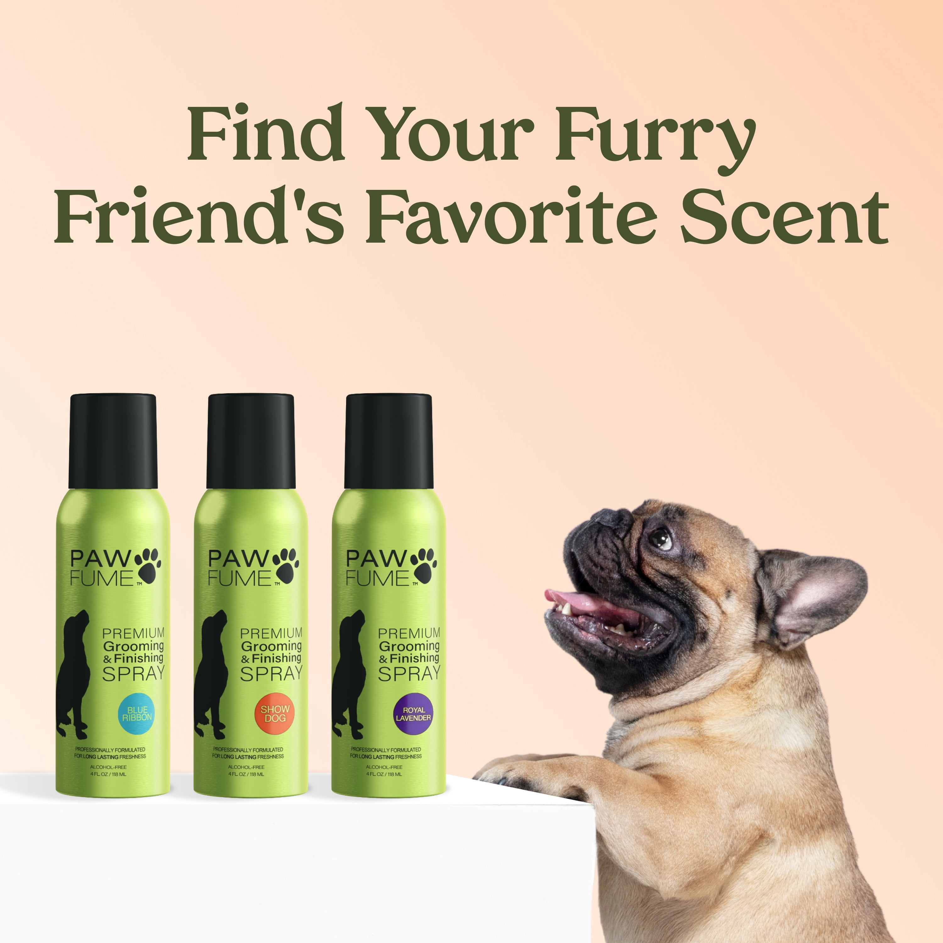 PawFume Show Dog Premium Grooming and Finishing Deodorizer Dog Spray, 4 fl oz Can