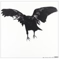 thumbnail image 3 of SHAKEY [Vinyl], 3 of 3
