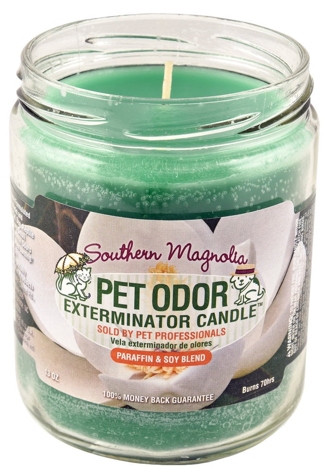 Pet Odor Eliminator Candle Walmart Pet Odor Exterminator Candle