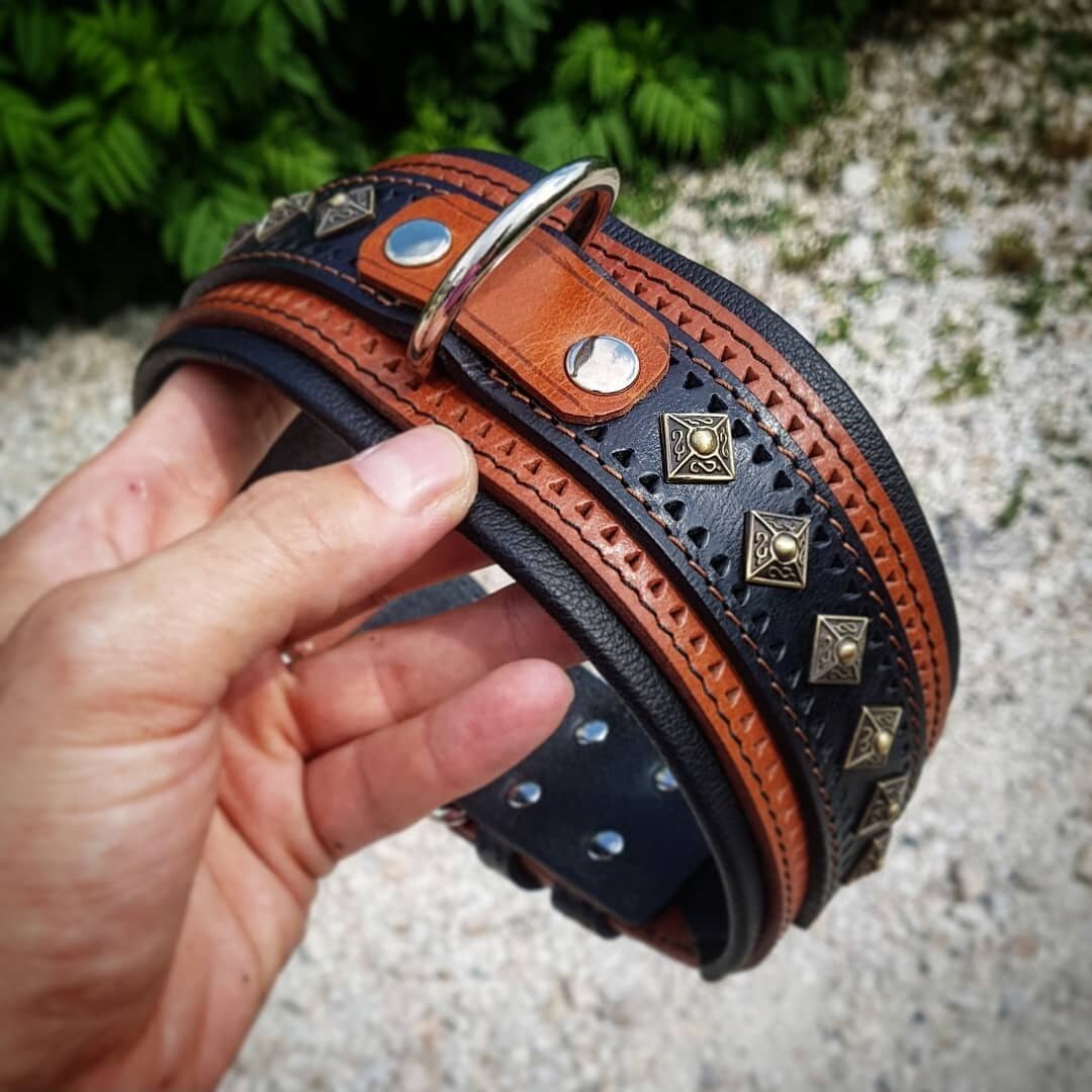 The "Balteus" Brown Leather Dog Collar for Large Dog Breeds