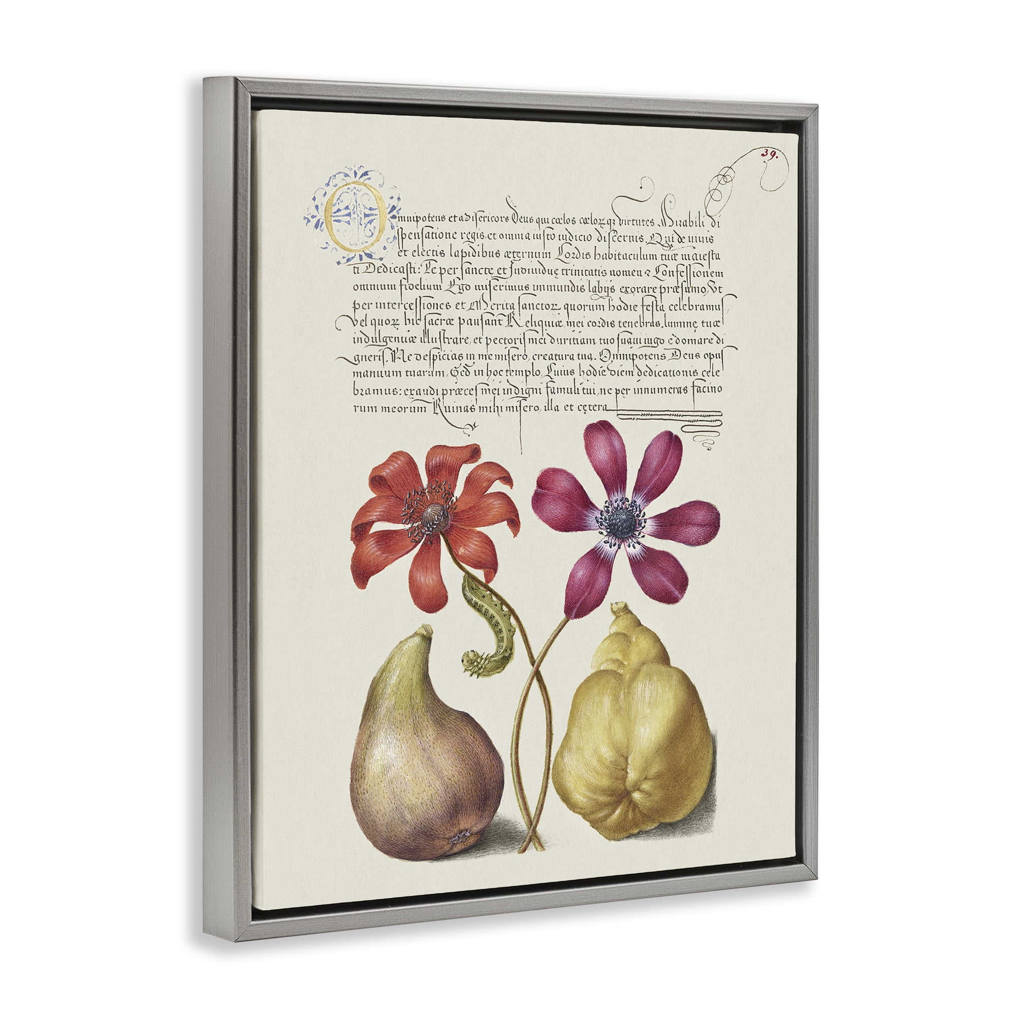 Stupell Industries Vintage Nature Page Text & Numbers Painting Gray Floater Framed Canvas Art Print Wall Art, 25 x 31