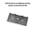thumbnail image 5 of Aqueon Aquarium Starter Kit, 10 Gallon Glass Fish Tank, LED Lighting, Filter and Heater, 5 of 10