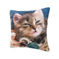 thumbnail image 2 of Wukai Playful Cat Premium Polyester Fleece Pillow Covers with Hidden Zipper Closure,Luxuriously Soft and Durable-12"x12", 2 of 7