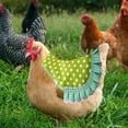 thumbnail image 5 of 4 monturas de pollo, monturas de gallinas para delantal de gallina para protectores de aves de corral, suministros de fijación de plumas, 5 of 5