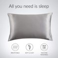 thumbnail image 2 of Paquete de 2 fundas de almohada de seda satinada para el cabello y la piel, tamaño grande, gris plateado, 20 x 30 pulgadas, 11 Feliz Sencillez, 2 of 3