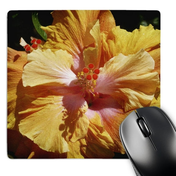 3dRose, Peachy Hibiscus, MousePad