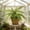 Green1072, variant on Tuvgenk Lifelike Faux Greenery Pick for Home Decor Indoor Outdoor Display Store and Living Area Matching Supply