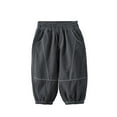 thumbnail image 2 of Godderr Toddler Kids Sweatpants for Girls，1-10Y Baby Elastic Waist Loose Pants Spring Autumn Jogger Pants Fashion Casual Solid Color Trousers, 2 of 7