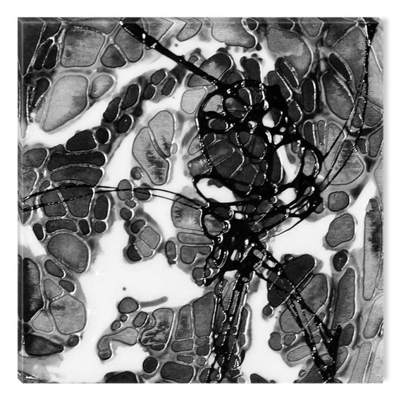 Startonight Canvas Wall Art Black and White Stone Pattern Prisma, Dual View Surprise Artwork Modern Framed Ready to Hang Wall Art 100% Original Art Painting 31.50 X 31.50 inch