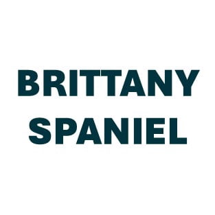 Brittany Spaniel Pill Butter