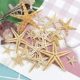 thumbnail image 6 of Lssam Resin Starfish Decor, 100-Piece Mini Sea Ornaments for Coastal Wedding Table Decor, Small Starfish Crafts Charms, Beach Theme Home Decor Supplies, 6 of 7