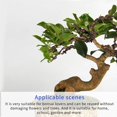 thumbnail image 4 of Aluminio Anodizado Bonsai Entrenamiento Alambre Starter Set Diy Artesanías Bonsai Estereotipos Bronce Color Aluminio Alambre Set 5 Unids 1.0Mm 1.5Mm 2.0Mm 2.5Mm 3.0Mm Noticed HA017991-00, 4 of 7