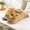 Highland Cow, variant on 20" 4 Pound Black Cat Weighted Stuffed Animal with Unscented Heatable/Coolable Pad