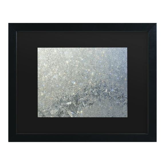 Trademark Fine Art 'Frost Pattern Sun Stars' Canvas Art by Kurt Shaffer
