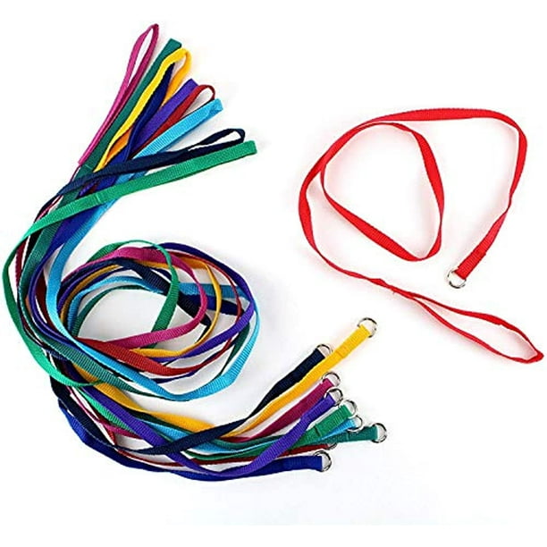 Midlee 4 Foot Dog Kennel Slip Lead Heavy Duty Nylon Pack of 10