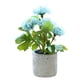 thumbnail image 1 of Bola de flores falsas, crisantemo, bonsái pequeño, decoración de escritorio, planta verde artificial, maceta de cemento en maceta, 1 of 5