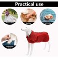 thumbnail image 3 of Capa de secado para perros, toalla de albornoz para perros, toalla de secado rápido para bata de baño para mascotas de microfibra, 3 of 4