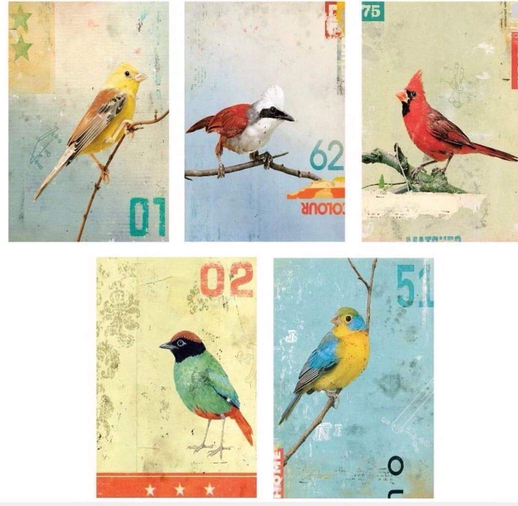 Kort Set of 5 IKEA Bird Art Cards by Kareem Rizk 4" x 6" Prints Birds