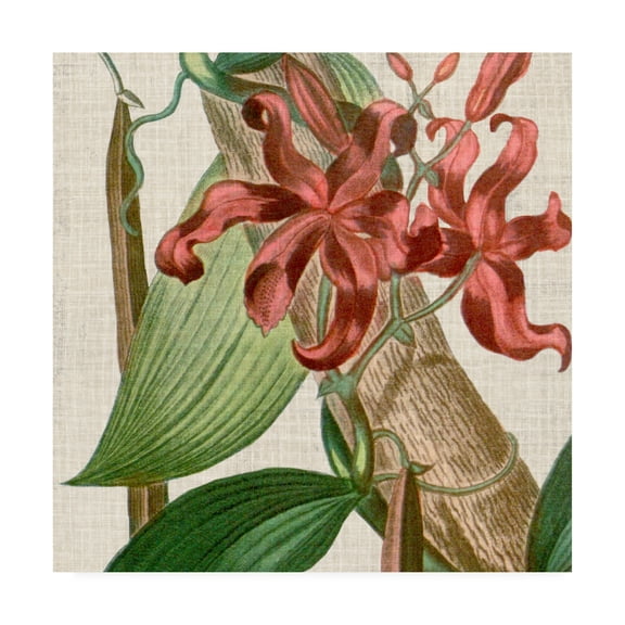 Trademark Fine Art 'Cropped Turpin Tropicals IX' Canvas Art by Vision Studio