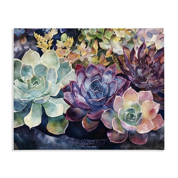Stupell Industries Eclectic Tutti Succulents Collection Canvas Art, 20 x 16, by Svetlana Aleynikova
