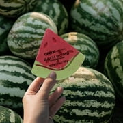 (4 pack) Onyx Bathhouse Watermelon Splash 4 oz Shaped Bath Bomb, Red, Green