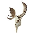 thumbnail image 3 of Ebros Czar North American Bull Moose Skull Wall Decor 22"Wide Wall Mount Plaque Sculpture Figurine, 3 of 5
