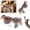 C, variant on Kna Interactive Cat With Feathery Teaser Wand For Exercising And Pouncing For Cats Off Ers
